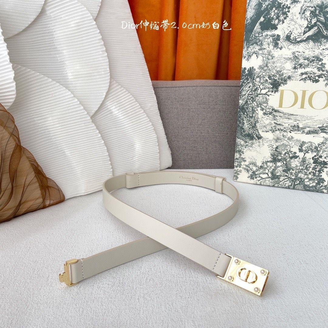 Dior belt