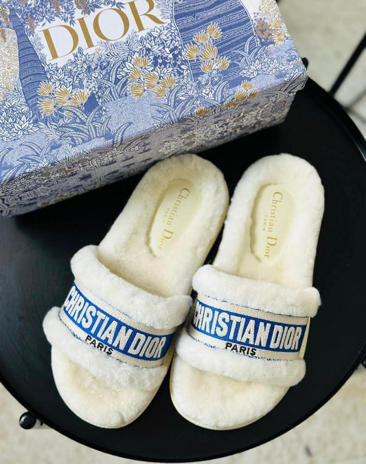 Dior slippers