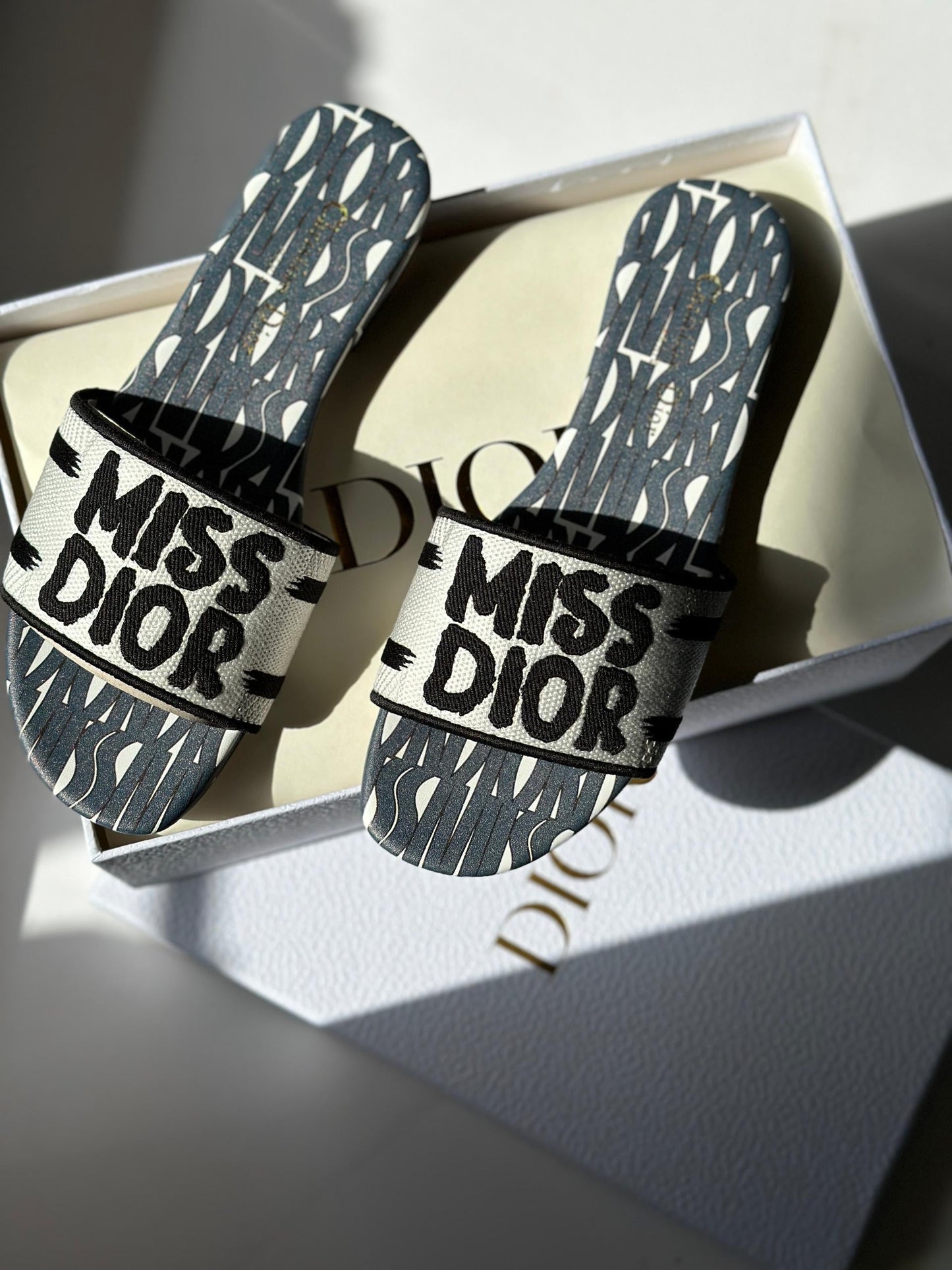 Dior slippers