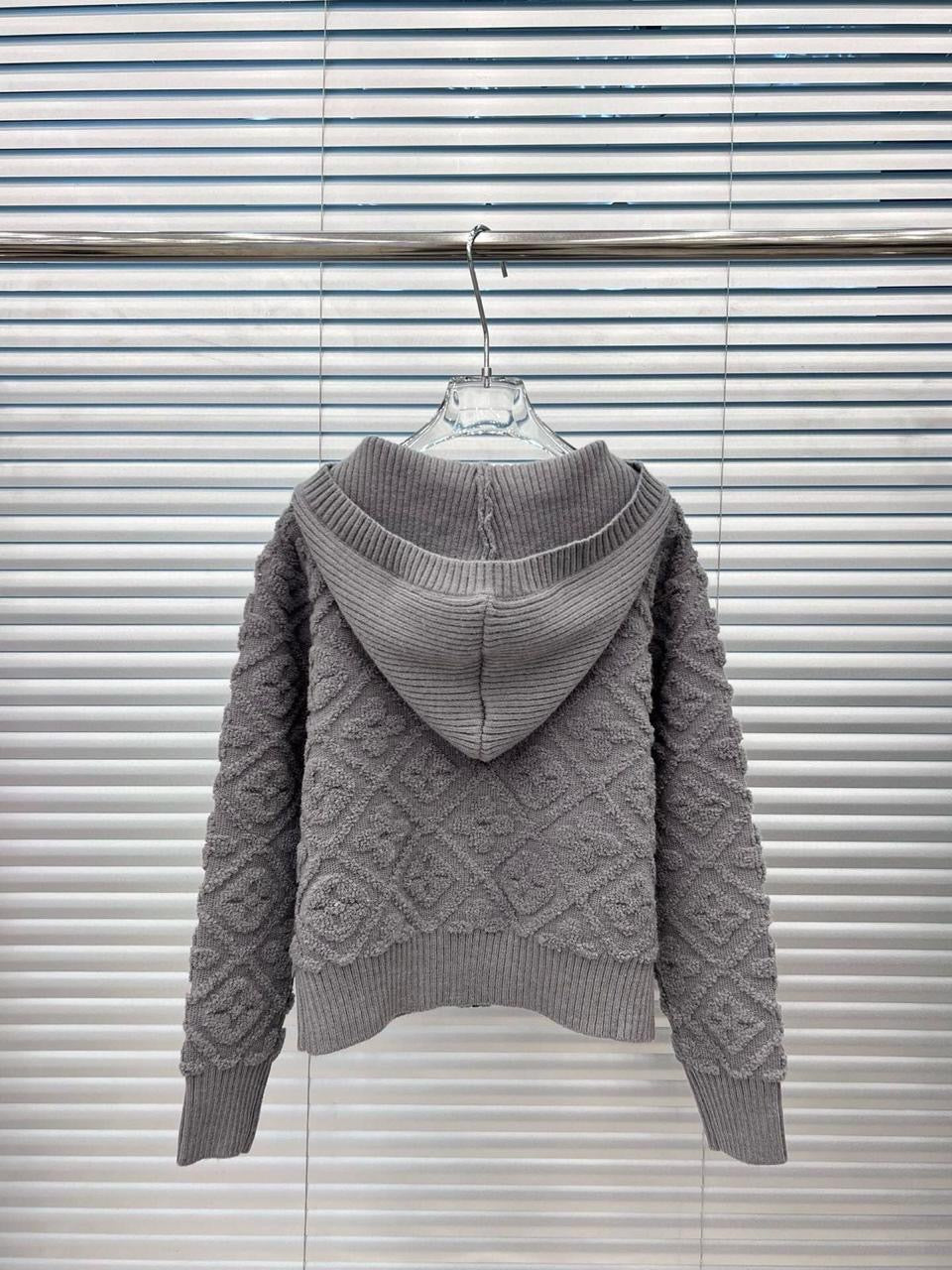 Lv hoodie - jacket