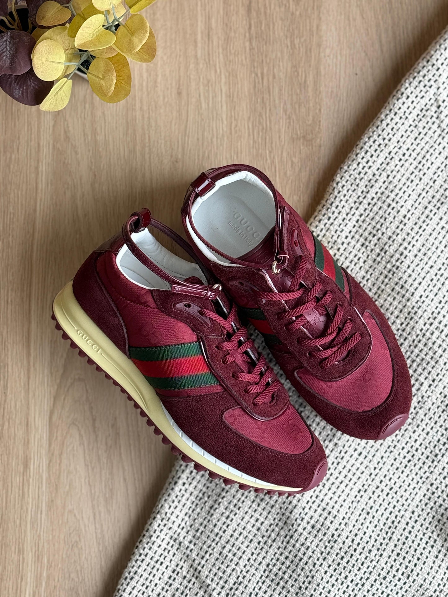 Gucci sneakers