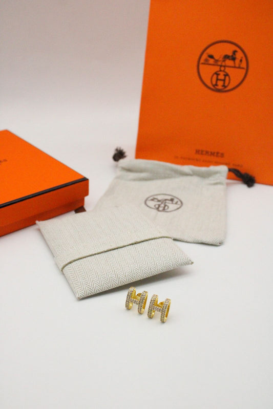 Hermes earrings