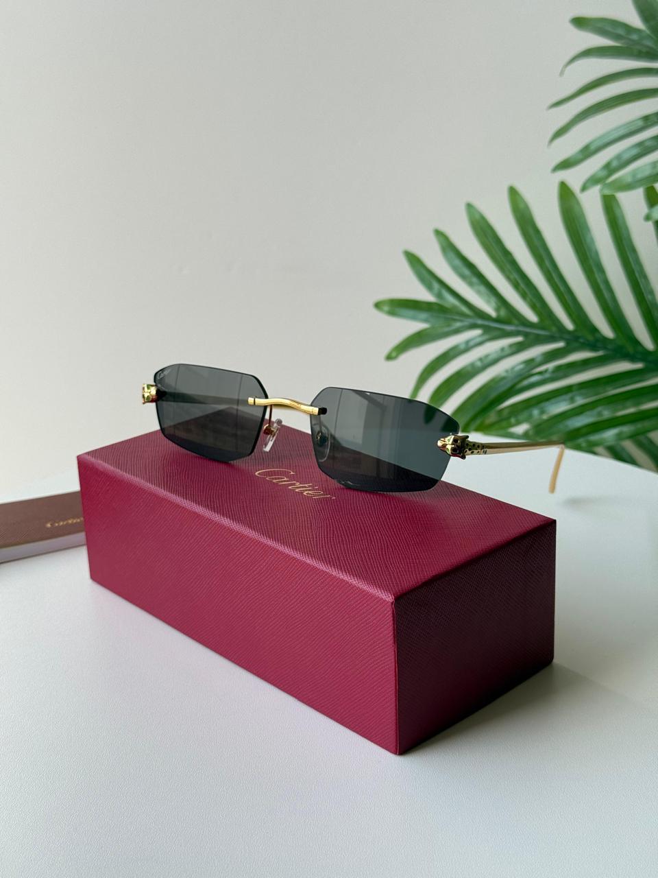 Cartier sunglasses