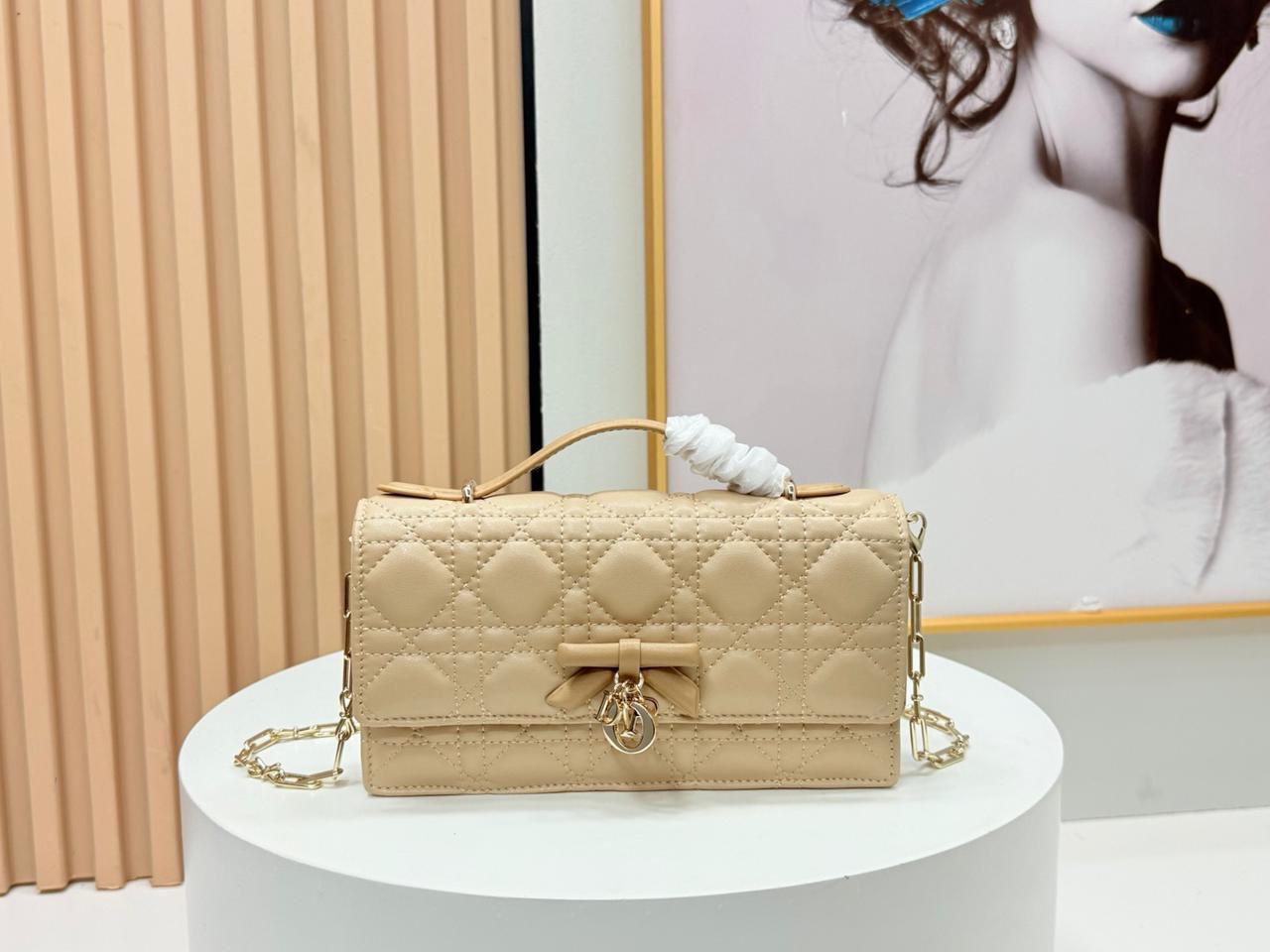 Dior bag