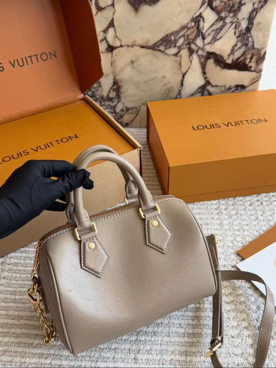 Lv bag