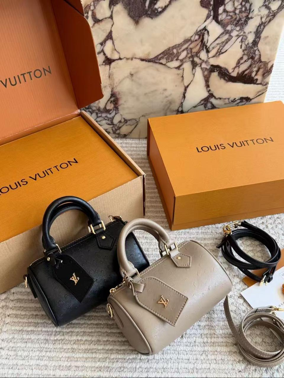 Lv bag mini