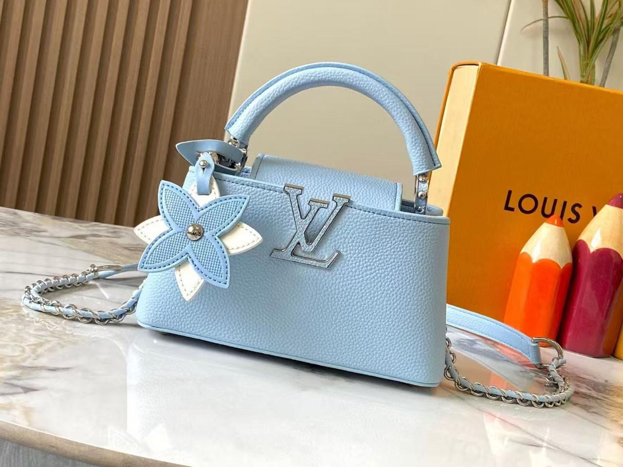 Lv bag capucines