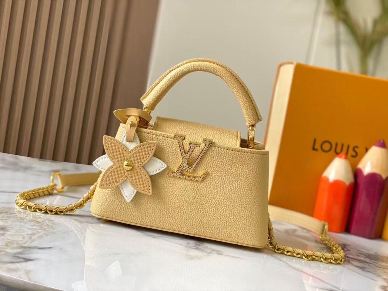Lv bag capucines