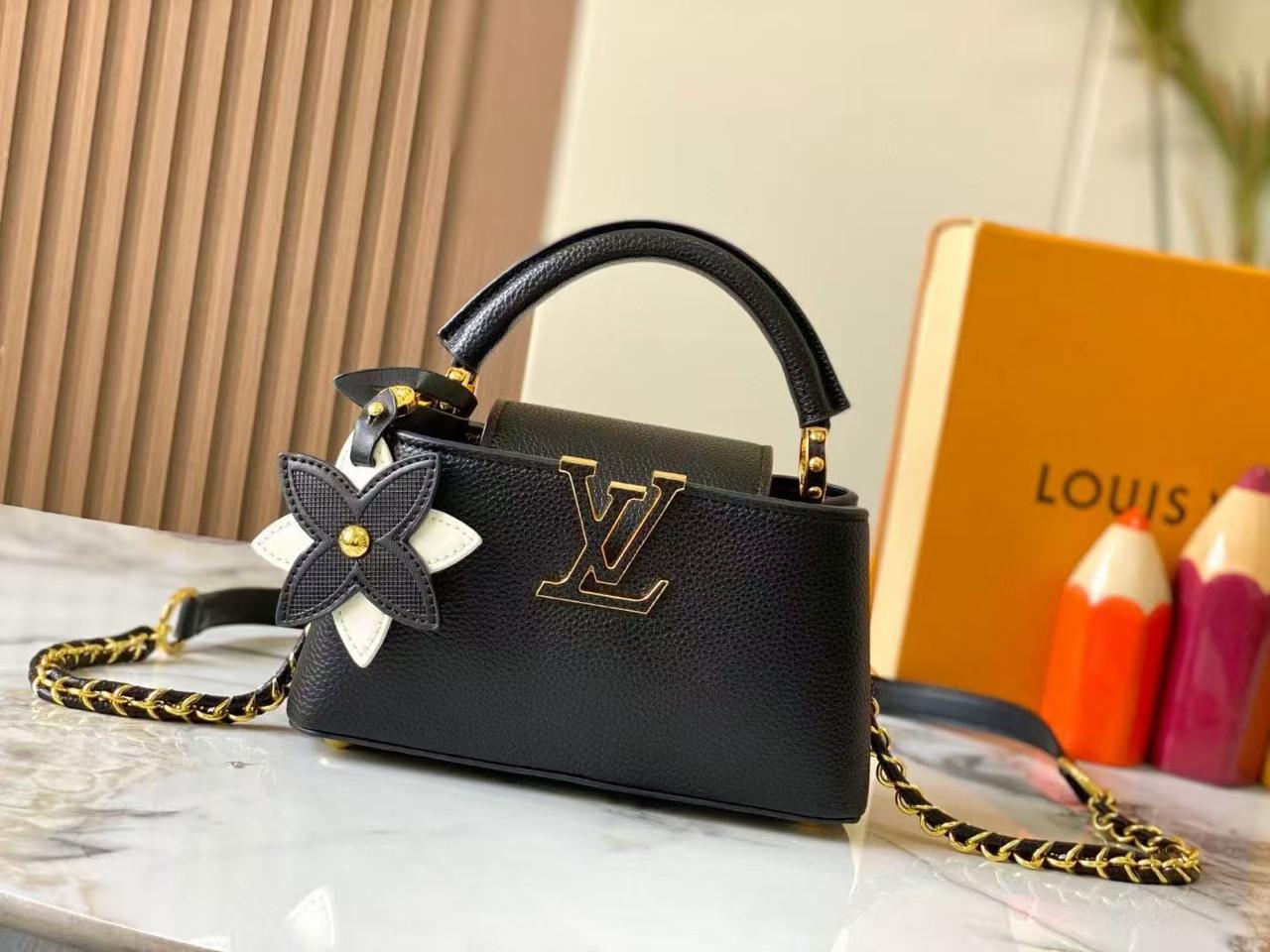 Lv bag capucines