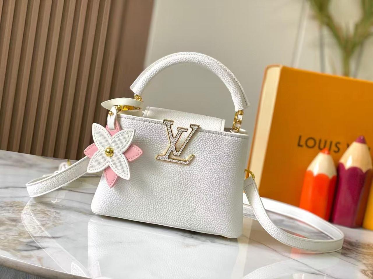 Lv bag capucines