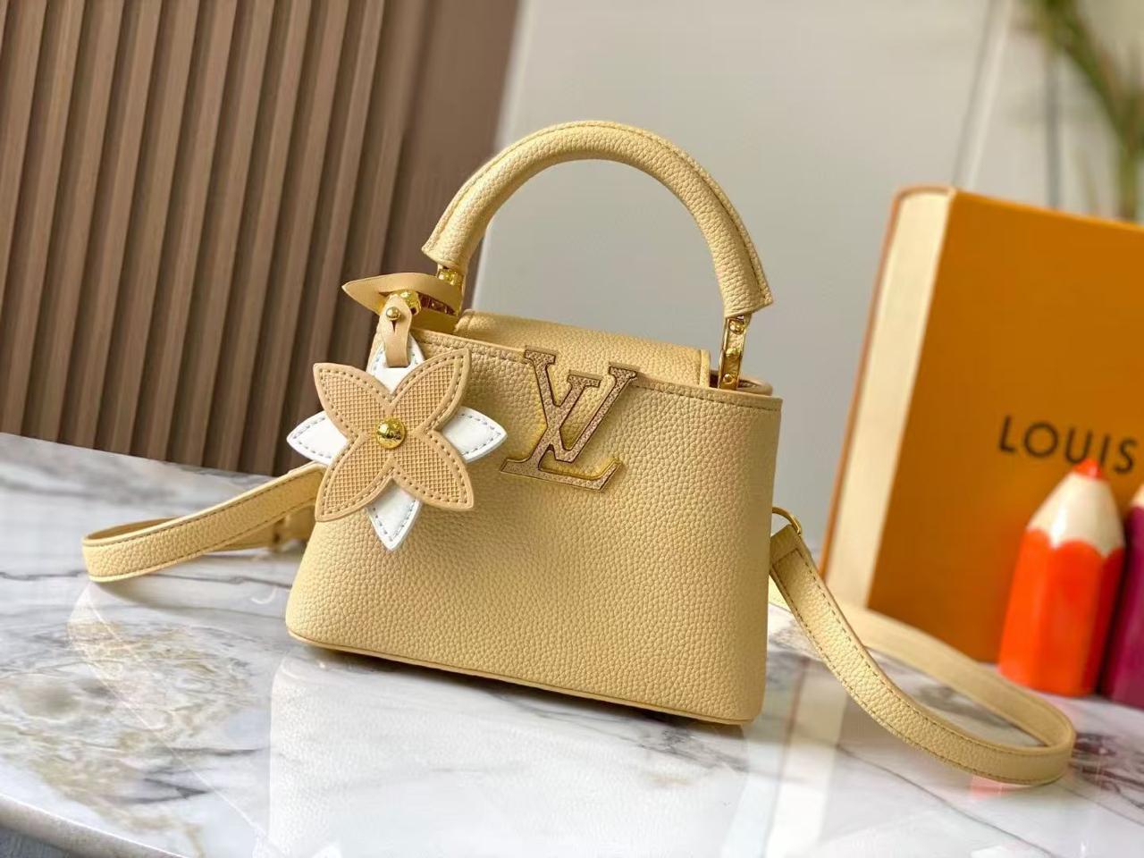 Lv bag capucines