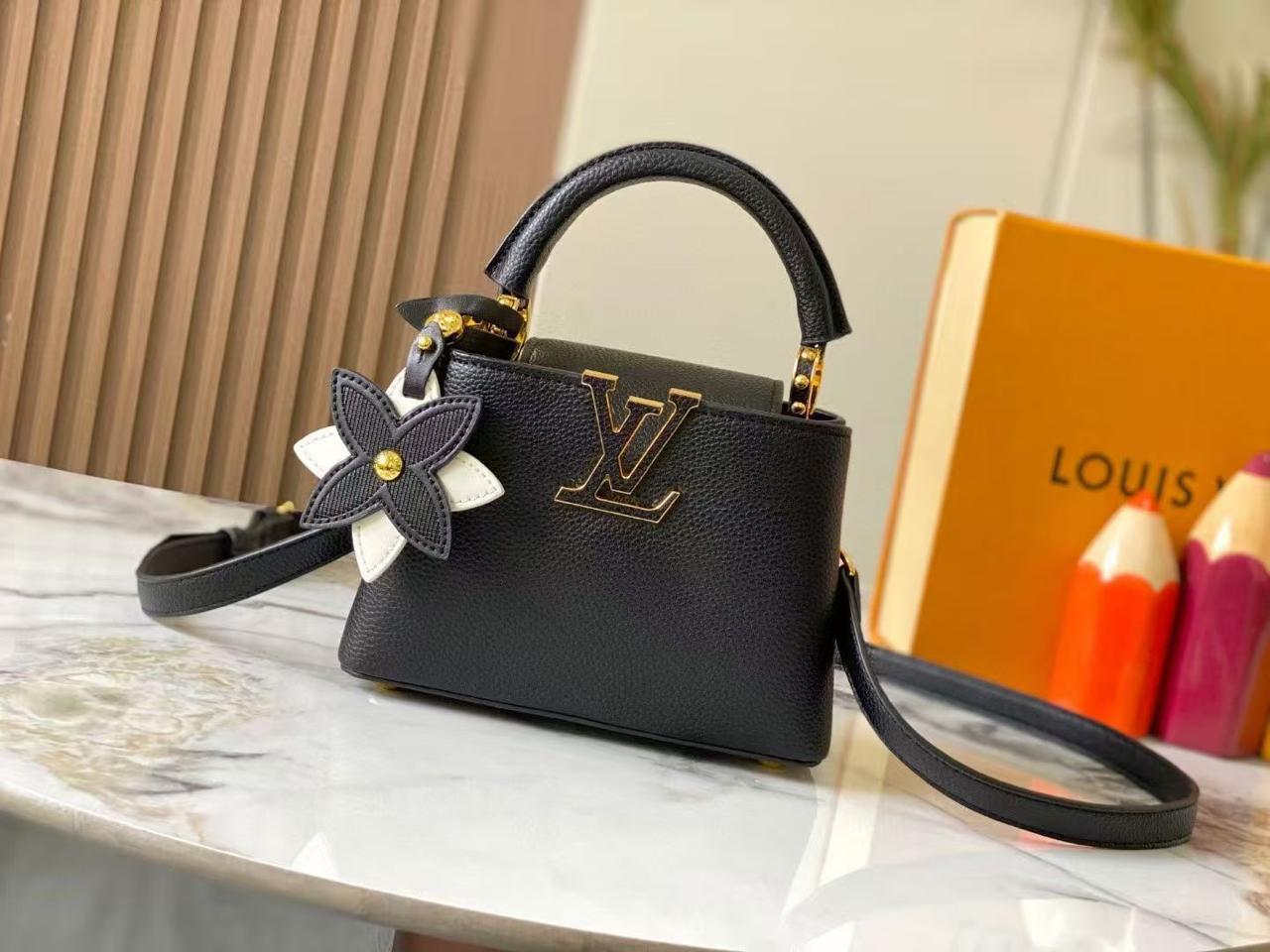 Lv bag capucines