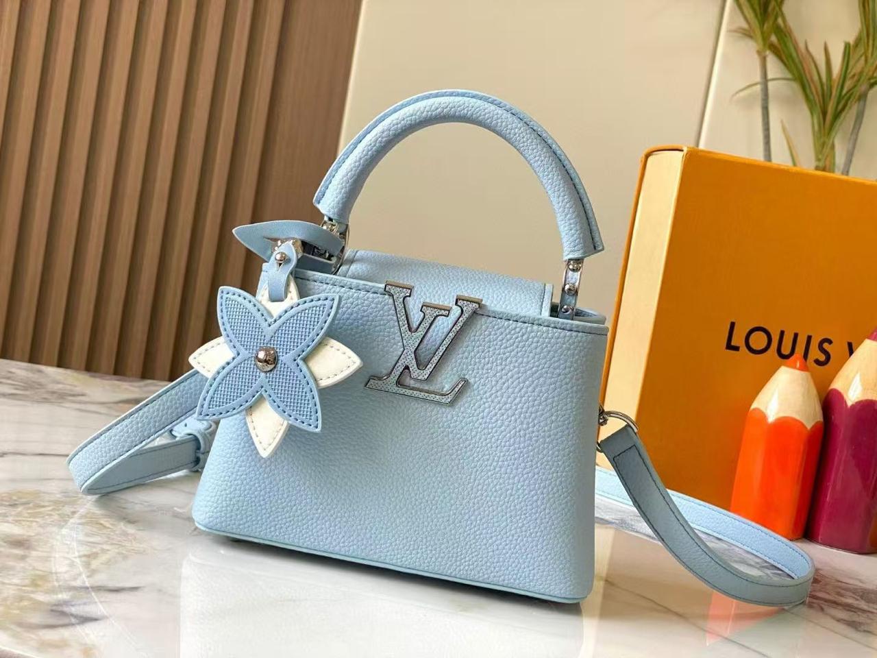 Lv bag capucines