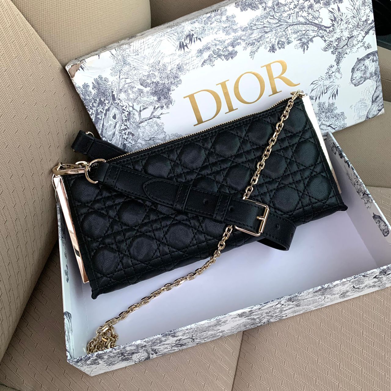 Dior bag